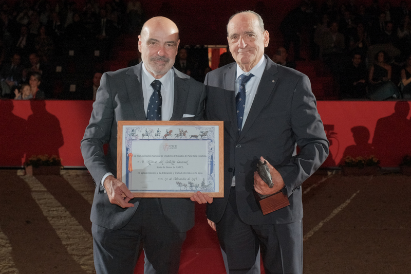 Alfonso del Castillo